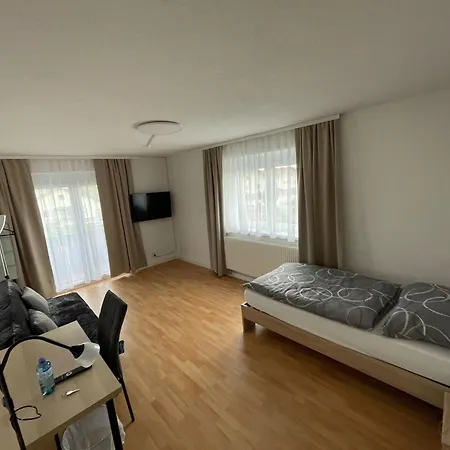 Apartment Grafone Waizenkirchen